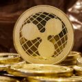 Why XRP is the best crypto to buy before 2022, according to XPunks NFTs CEO - XPunks NFTs CEO revea